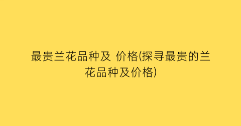 “最贵兰花品种及 价格(探寻最贵的兰花品种及价格)